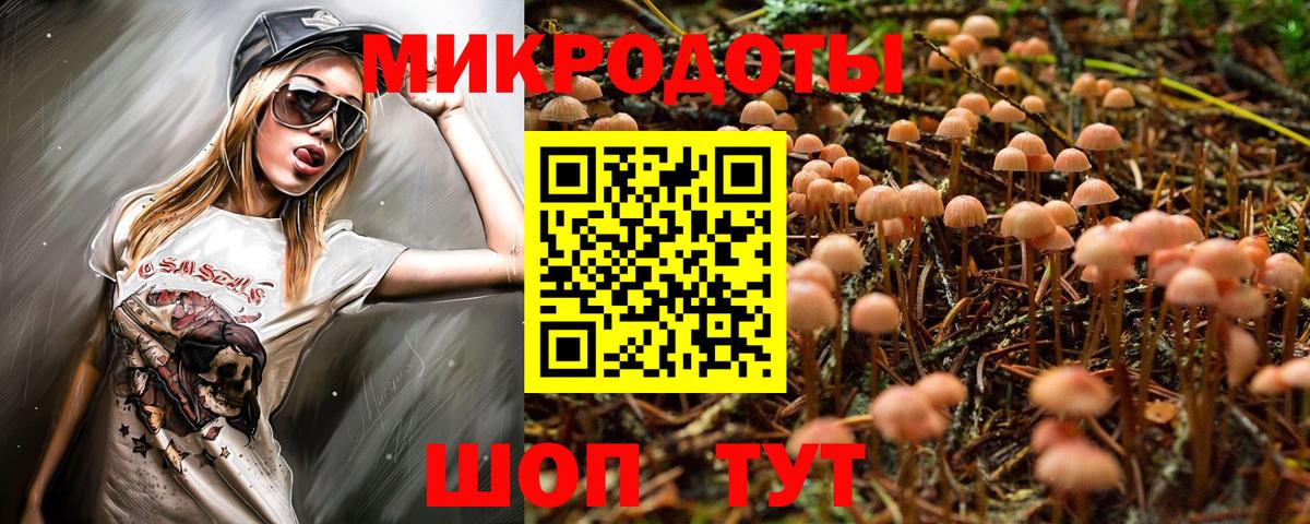 Ефремов  Псилоцибиновые грибы ЛСД  Вход с VPN 